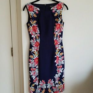 Tahari spring dress (2P)